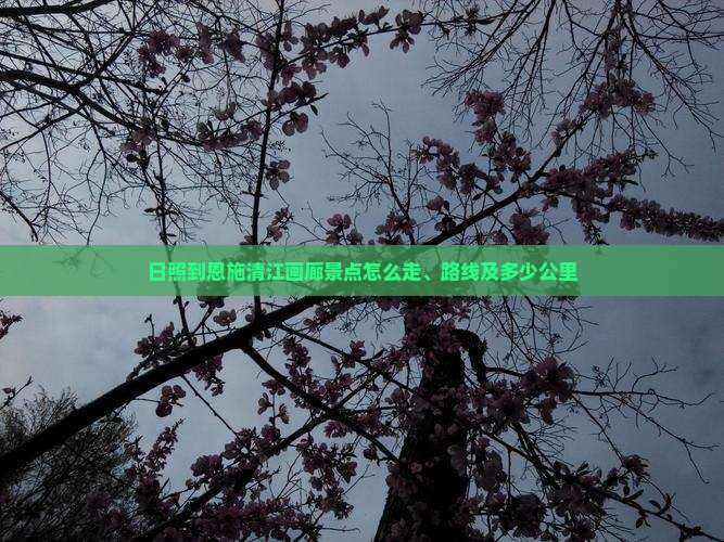 日照到恩施清江画廊景点