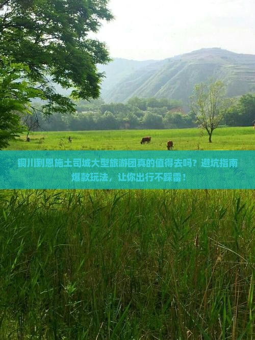 铜川到恩施土司城大型旅游团