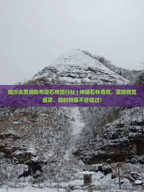临沂去恩施梭布垭石林旅行社