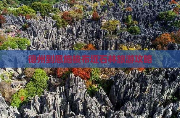德州到恩施梭布垭石林自由行