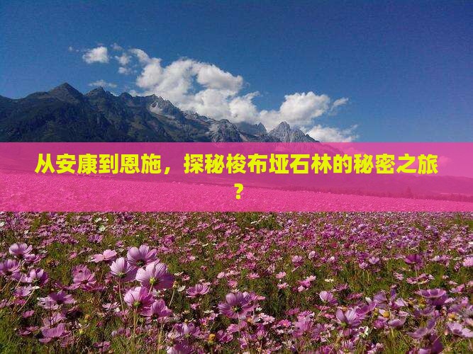 安康到恩施梭布垭石林个人游