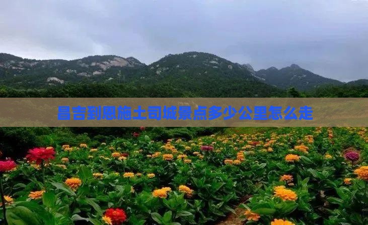 昌吉到恩施土司城景点