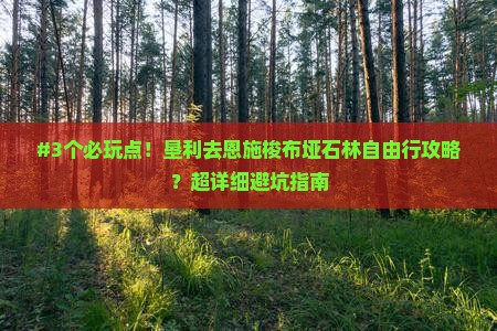 垦利到恩施梭布垭石林攻略