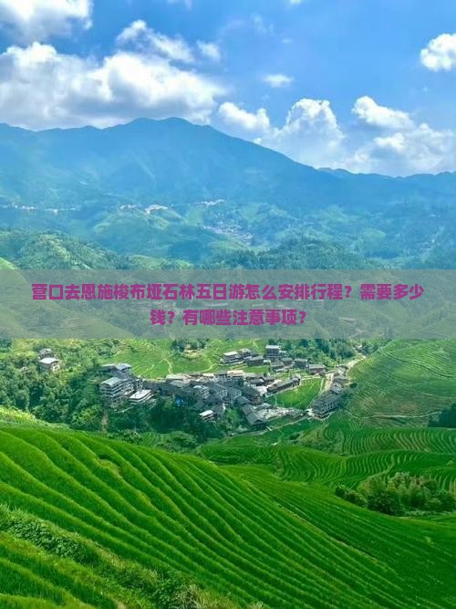 营口去恩施梭布垭石林五日游