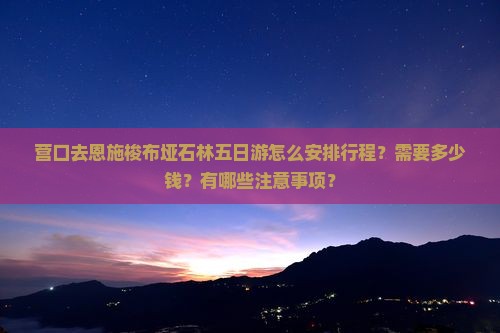 营口去恩施梭布垭石林五日游