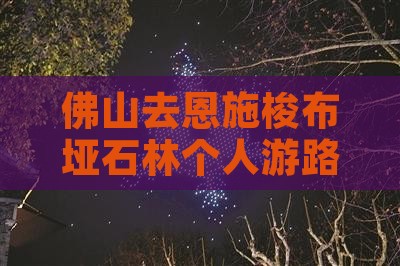 佛山去恩施梭布垭石林个人游