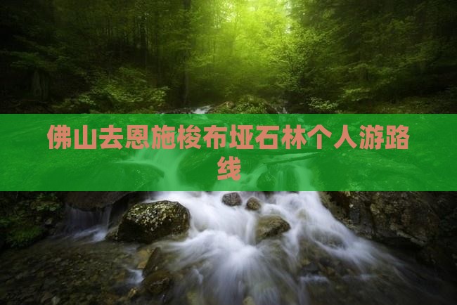 佛山去恩施梭布垭石林个人游