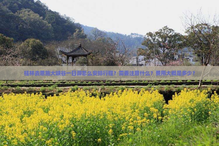桂林去恩施大峡谷一日
