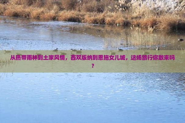 西双版纳到恩施土家女儿城自由团