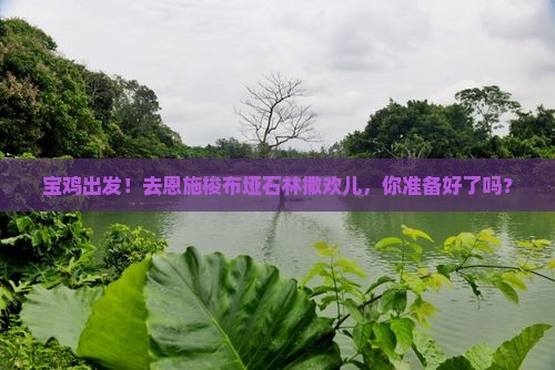 宝鸡到恩施梭布垭石林团体旅游