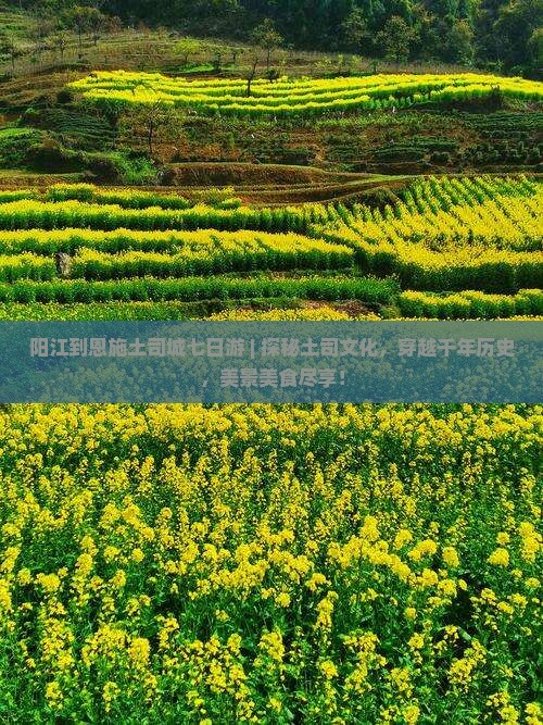 阳江到恩施土司城七日游