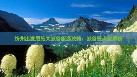 忻州到恩施大峡谷攻略