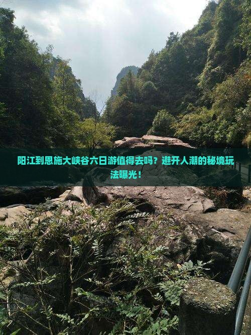 阳江到恩施大峡谷六日游