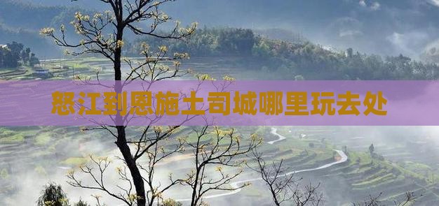 怒江到恩施土司城哪里玩
