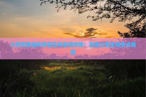 大庆到恩施梭布垭石林必去地