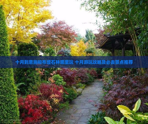 十月到恩施梭布垭石林哪里玩