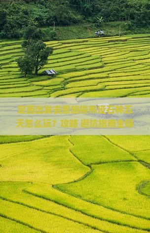 定西去恩施梭布垭石林五日游