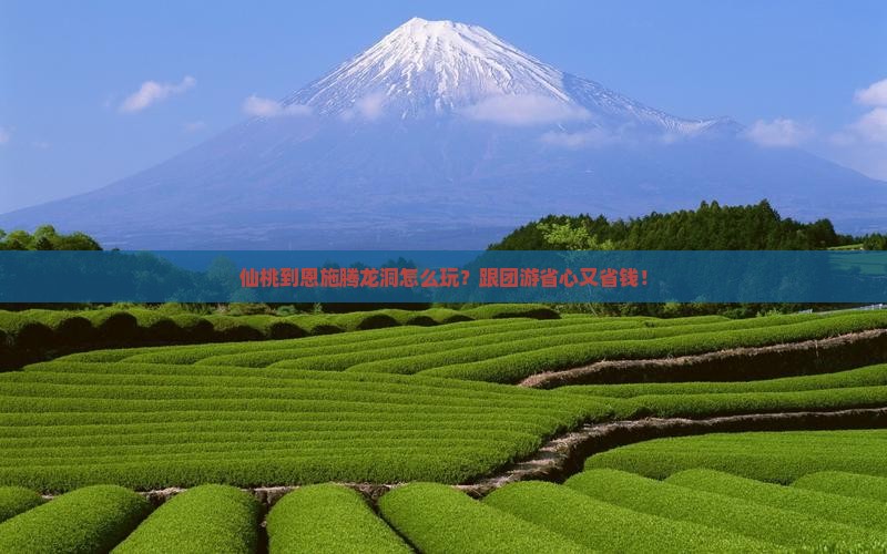 仙桃到恩施腾龙洞大型旅游团