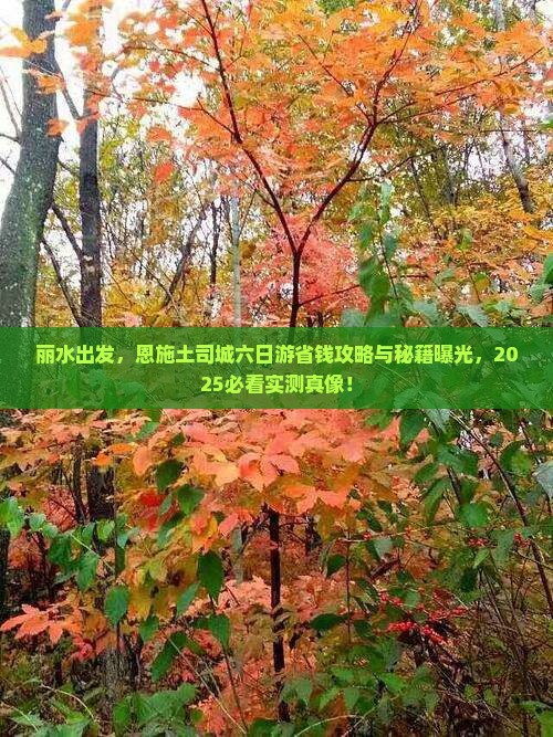 丽水到恩施土司城六日游