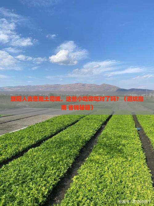 濮阳去恩施土司城旅游小吃