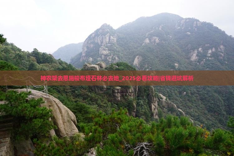神农架去恩施梭布垭石林必去地
