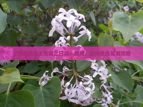 北京去恩施土司城二日游：费用、路线及自驾游攻略