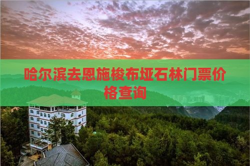 哈尔滨去恩施梭布垭石林门票价格查询