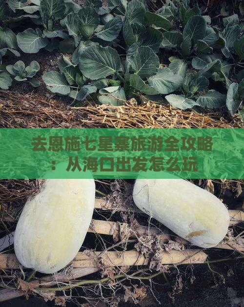 去恩施七星寨旅游全攻略：从海口出发怎么玩