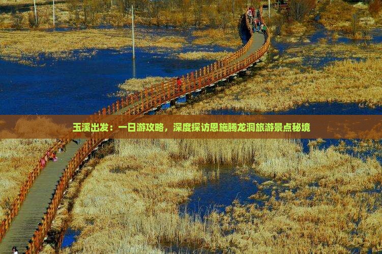 玉溪出发：一日游攻略，深度探访恩施腾龙洞旅游景点秘境