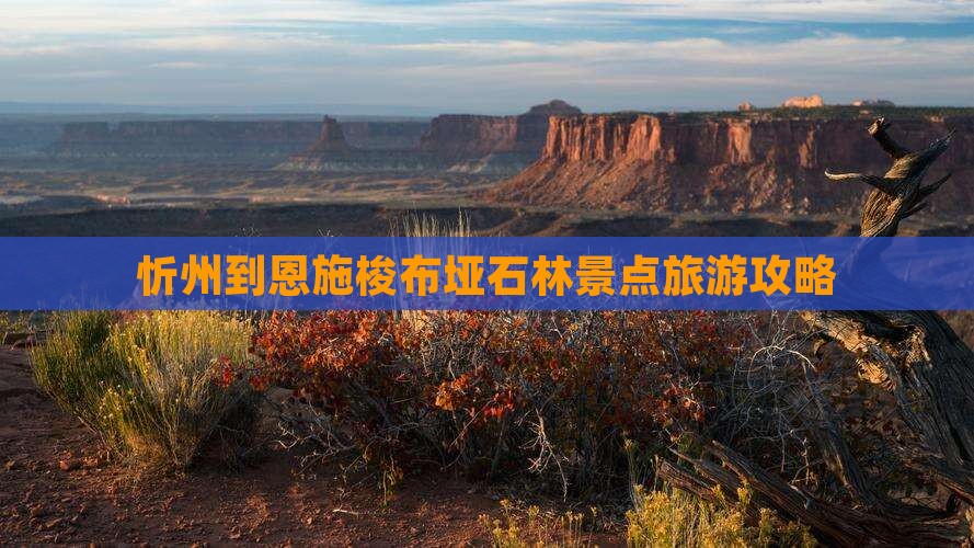 忻州到恩施梭布垭石林景点旅游攻略