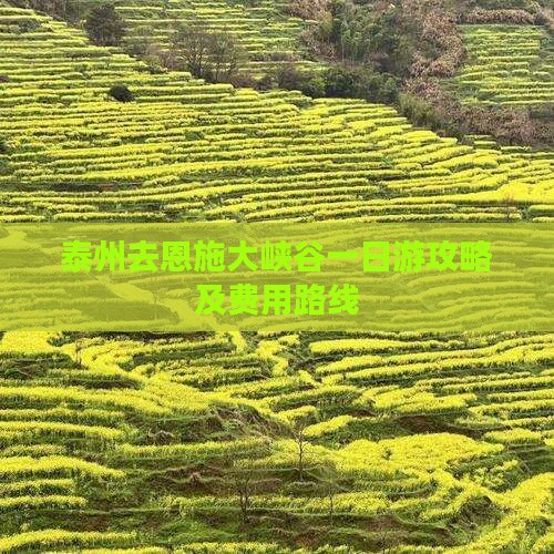 泰州去恩施大峡谷一日游攻略及费用路线