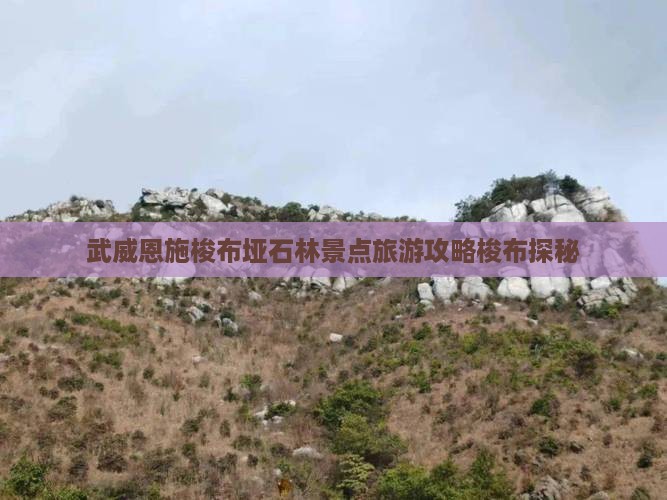 武威恩施梭布垭石林景点旅游攻略梭布探秘