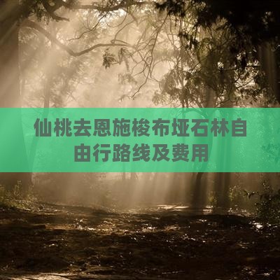 仙桃去恩施梭布垭石林自由行路线及费用