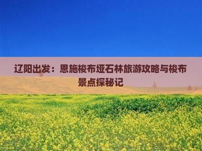 辽阳出发：恩施梭布垭石林旅游攻略与梭布景点探秘记