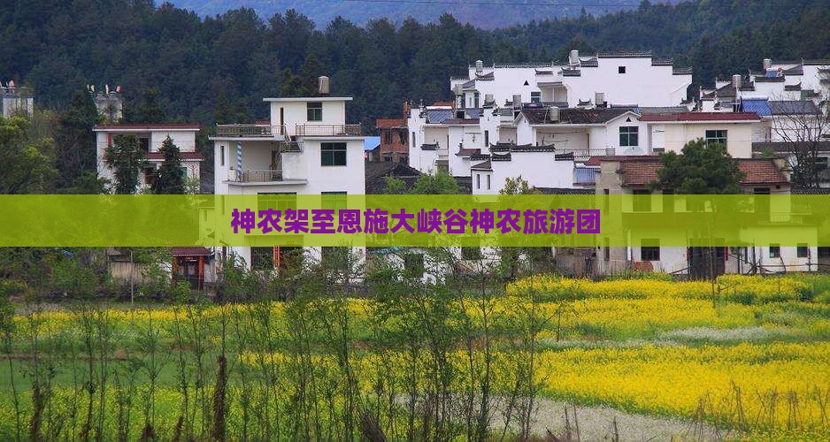 神农架至恩施大峡谷神农旅游团