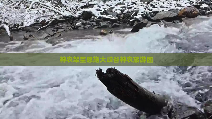 神农架至恩施大峡谷神农旅游团