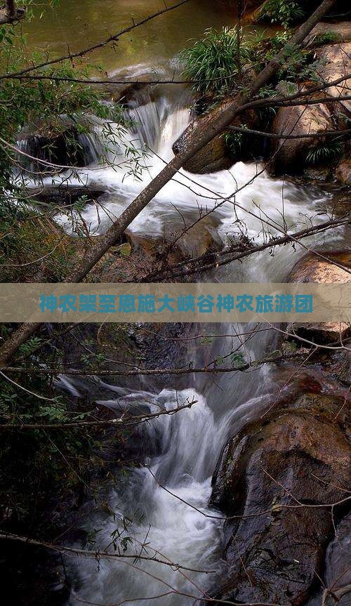 神农架至恩施大峡谷神农旅游团