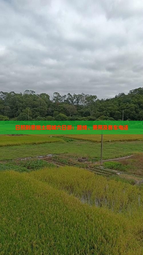 日照到恩施土司城六日游：路线、费用及客车电话