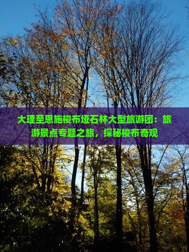 大理至恩施梭布垭石林大型旅游团：旅游景点专题之旅，探秘梭布奇观