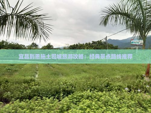 宜昌到恩施土司城旅游攻略：经典景点路线推荐