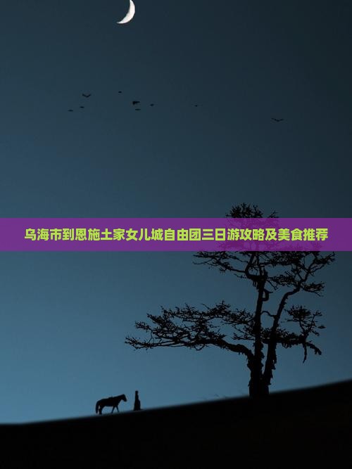 乌海市到恩施土家女儿城自由团三日游攻略及美食推荐
