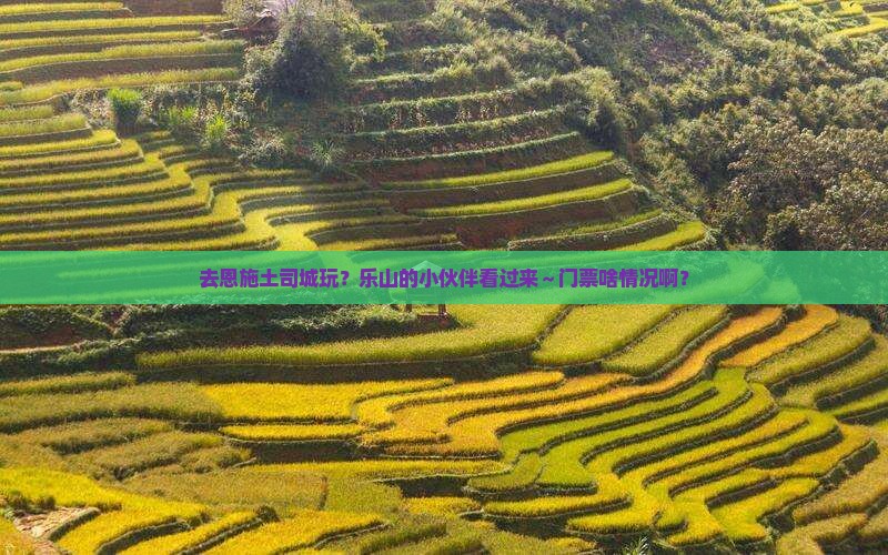 乐山去恩施土司城门票