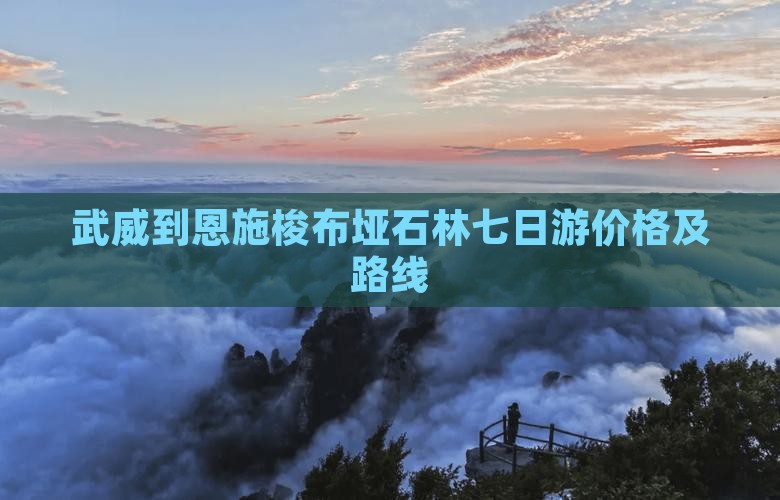武威到恩施梭布垭石林七日游