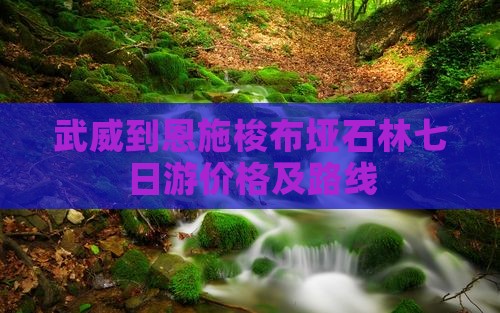 武威到恩施梭布垭石林七日游