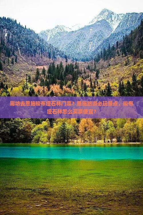 廊坊去恩施梭布垭石林门票