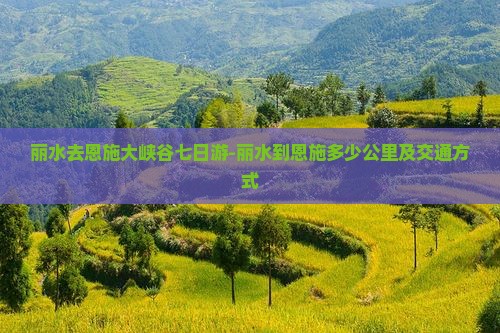 丽水去恩施大峡谷七日游