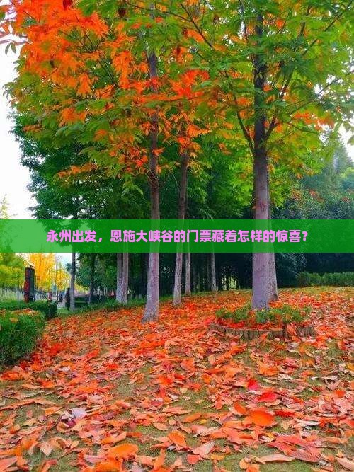 永州到恩施大峡谷门票