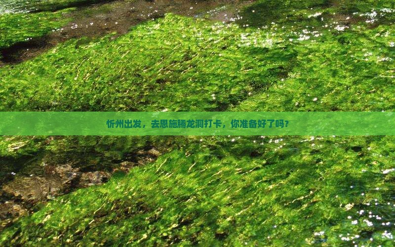 忻州去恩施腾龙洞攻略