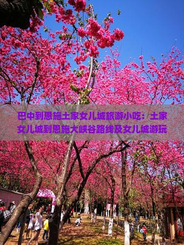 巴中到恩施土家女儿城旅游小吃