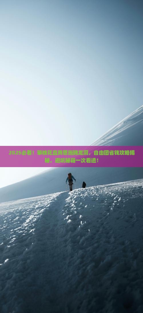 攀枝花去恩施腾龙洞自由团